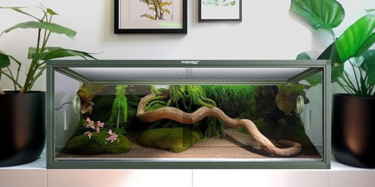 85 Gallon Reptile Tank - Front Opening Snake Tank for Easy Maintenance - Reptile Terrarium Enclosure with Top Screen Ventilation