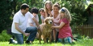 Awesome Benefits of Family Pets - Benefits of Having a Pet to Care For
