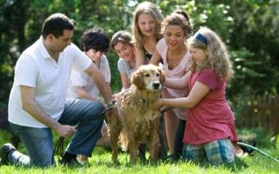 Unlocking the Benefits of Family Pet Ownership
