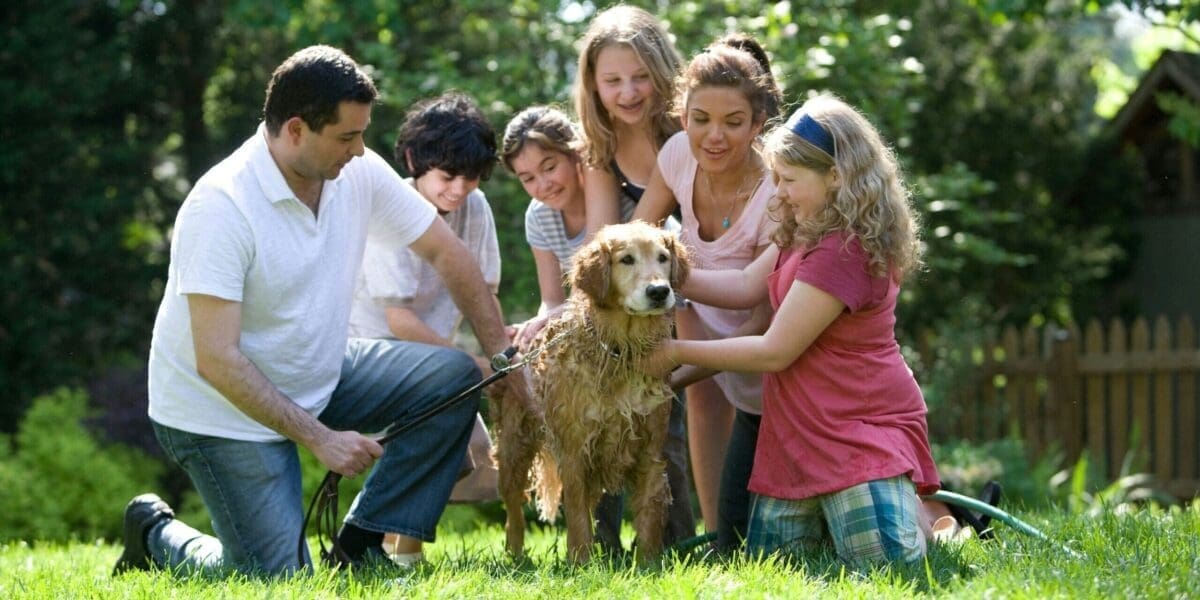 Awesome Benefits of Family Pets - Benefits of Having a Pet to Care For