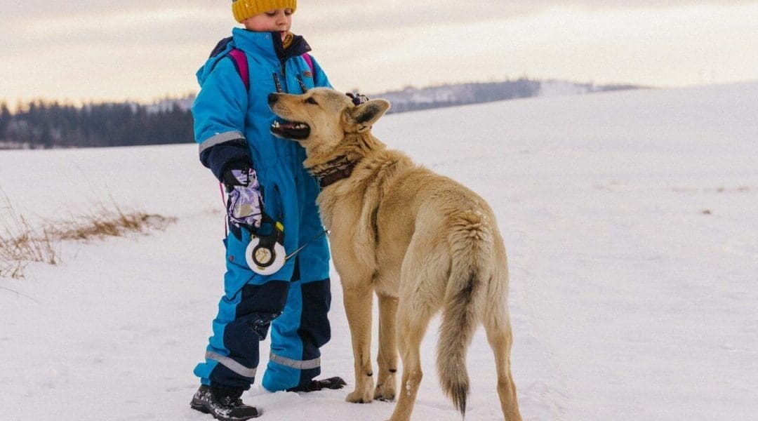 Pets: A Child's Best Friend for Development