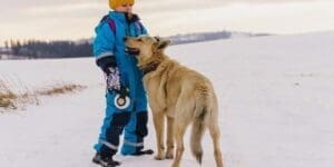 Pets Are Great Companions For Children & Adults