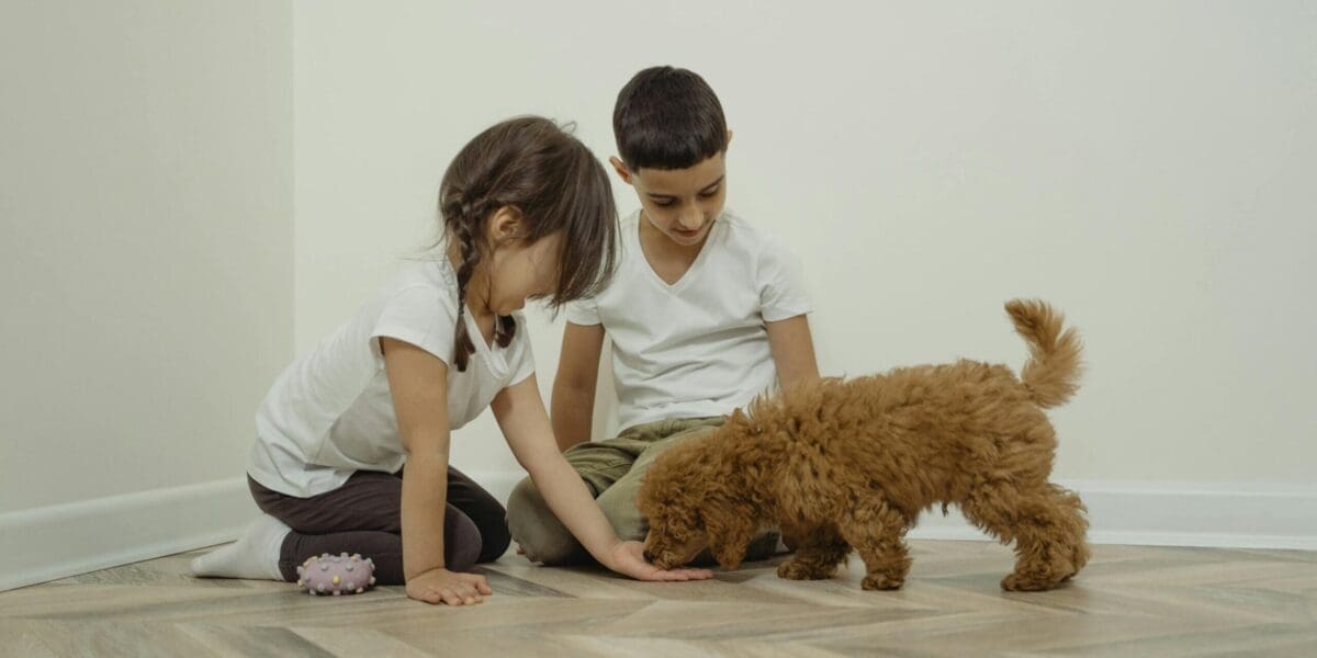 Pets Are Great Companions For The Entire Family