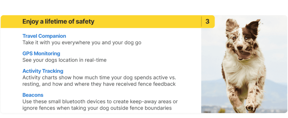 Step 3: Enjoy Time With Your Dog - GPS Dog Collar Fence