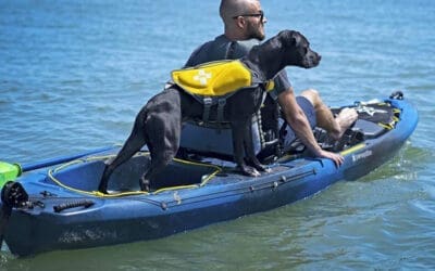 Best Dog Life Jacket